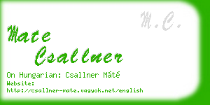 mate csallner business card